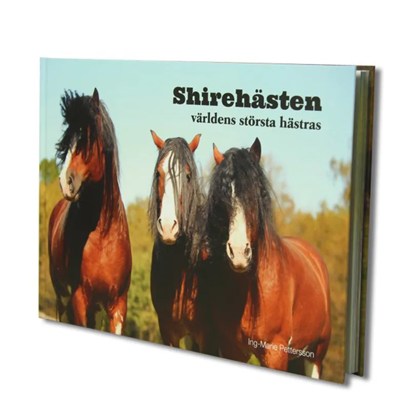 Bok - Shirehästen Världens  största